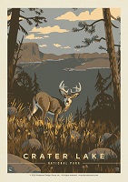 Pumpernickle Postcard - Crater Lake Buck